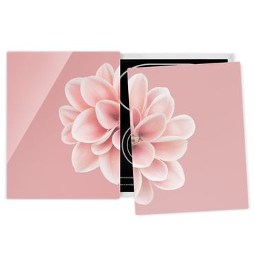 Glass stove top cover - Dahlia Pink Blush Flower Centered