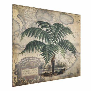 Print on aluminium - Vintage Collage - Palm And World Map