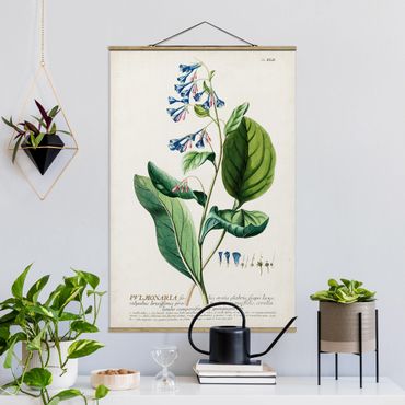 Fabric print with poster hangers - Vintage Botanical Illustration Lungwort