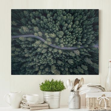 Print on canvas - Aerial View - Forest Road From The Top