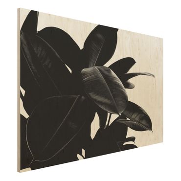 Print on wood - Rubber Tree Black And White