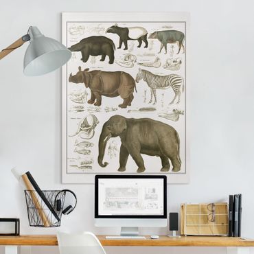 Print on canvas - Vintage Board Elephant, Zebra And Rhino