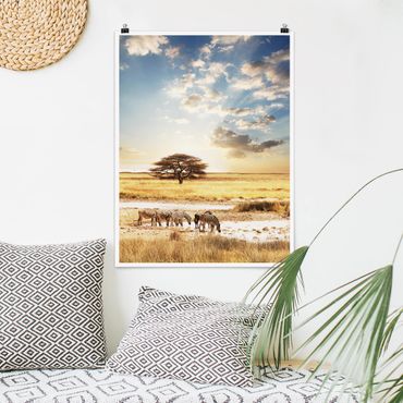 Poster animals - Zebras' lives