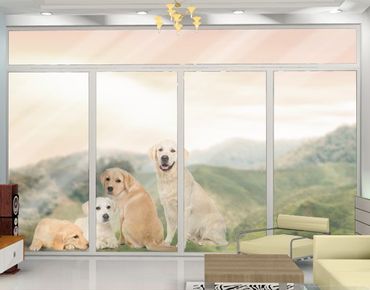 Window sticker - Portait of labradors and golden retriever