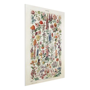 Print on forex - Vintage Board Flowers V