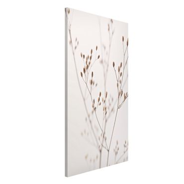Magnetic memo board - Delicate Buds On A Wildflower Stem