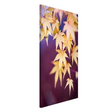 Magnetic memo board - Autumn Maple Tree