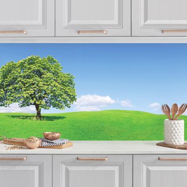 Kitchen wall cladding - Panoramic