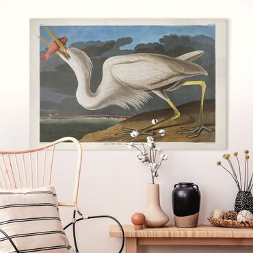 Print on canvas - Vintage Board Great White Egret