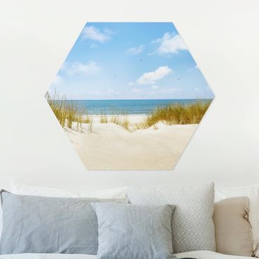 Forex hexagon - Beach On The North Sea