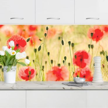Kitchen wall cladding - Summer Poppies