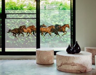 Window decoration - Horse Herd
