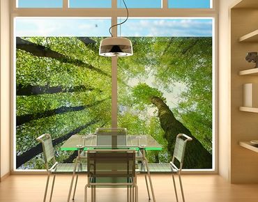 Window decoration - Trees Of Life