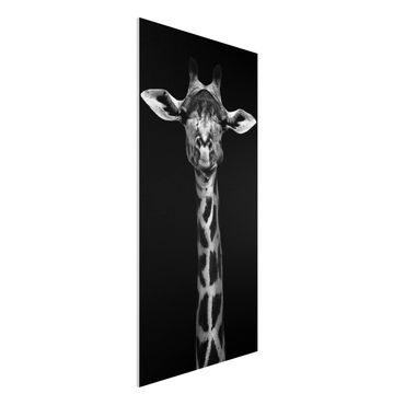 Forex print - Dark Giraffe Portrait