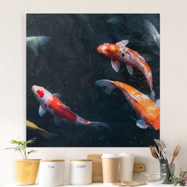 Print on canvas - Kois In A Pond