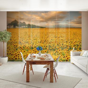 Sliding panel curtains set - Field With Sunflowers