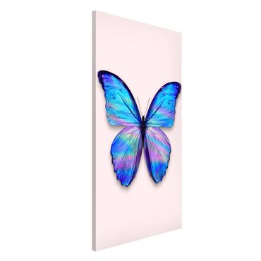 Magnetic memo board - Holographic Butterfly