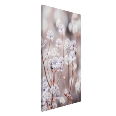 Magnetic memo board - Wild Flowers Light As A Feather