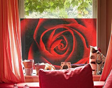 Window decoration - Lovely Rose