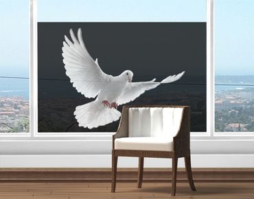 Window decoration - Dove Of Peace