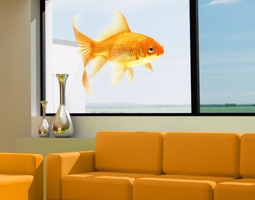 Window decoration - Ms Goldfish
