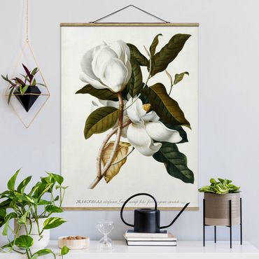 Fabric print with poster hangers - Georg Dionysius Ehret - Magnolia