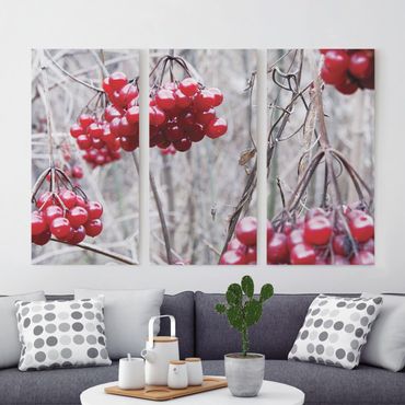 Print on canvas 3 parts - No.CA42 Forest Fruit