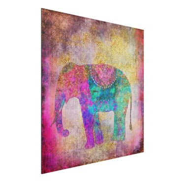 Print on aluminium - Colourful Collage - Indian Elephant