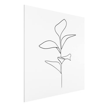 Print on forex - Line Art Plant Leaves Black And White