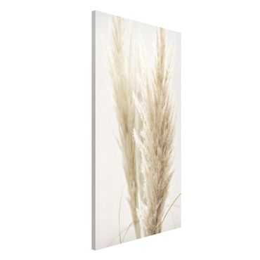 Magnetic memo board - Soft Pampas Grass