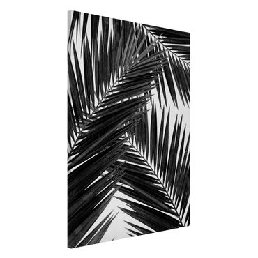 Magnetic memo board - View Through Palm Leaves Black And White