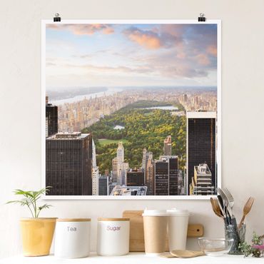 Poster - Overlooking Central Park