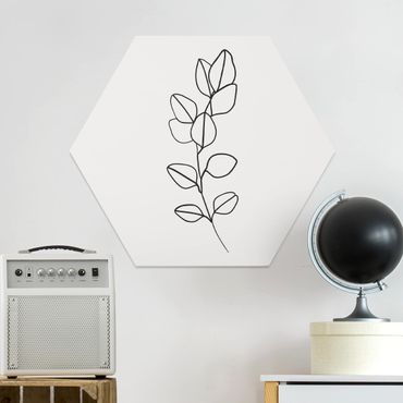 Forex hexagon - Line Art Branch Leaves Black And White