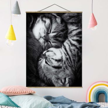 Fabric print with poster hangers - Two Kittens