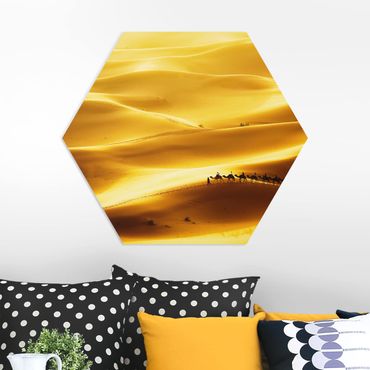 Forex hexagon - Golden Dunes