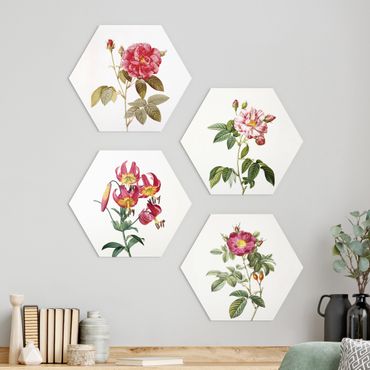Forex hexagon - Pierre Joseph Redoute - Roses And Lilies