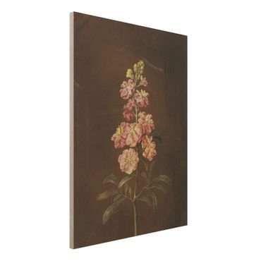 Print on wood - Barbara Regina Dietzsch - A Light Pink Gillyflower