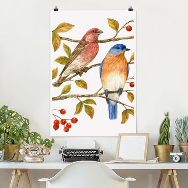 Poster animals - Birds And Berries - Bluebird
