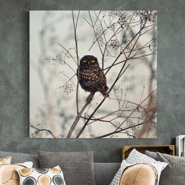 Print on canvas - Owl In The Winter
