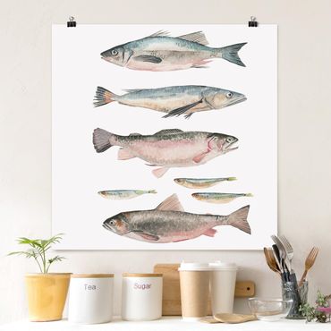 Poster - Seven Fish In Watercolour I
