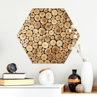 Alu-Dibond hexagon - Homey Firewood