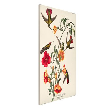 Magnetic memo board - Vintage Board Mango Hummingbirds