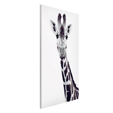 Magnetic memo board - Giraffe Portrait In Black And White