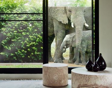 Window decoration - Elephant Love