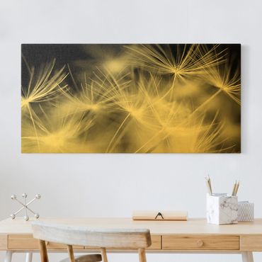 Canvas print gold - Moving Dandelions Close Up On Black Background