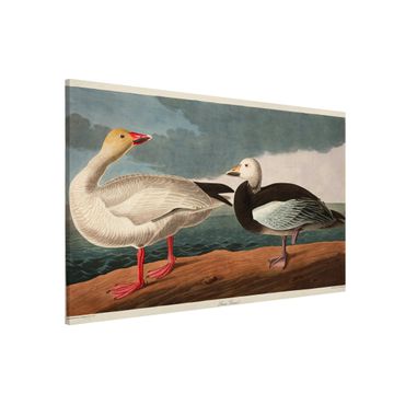 Magnetic memo board - Vintage Board Blue Goose