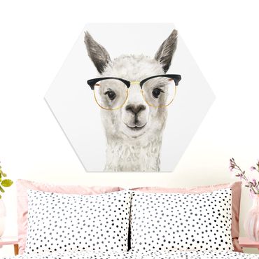 Forex hexagon - Hip Lama With Glasses I