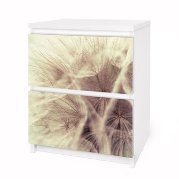 Adhesive film for furniture IKEA - Malm chest of 2x drawers - Detailed Dandelion Macro Shot With Vintage Blur Effect