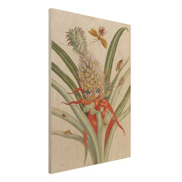 Print on wood - Anna Maria Sibylla Merian - Pineapple With Insects