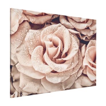 Magnetic memo board - Roses Sepia With Water Drops